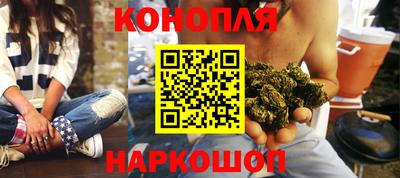 шишки Славянск-на-Кубани