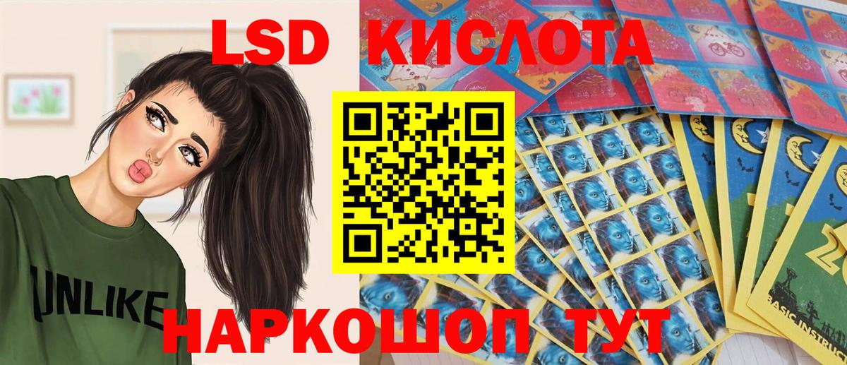 где купить наркоту  Марки N-bome 1500мкг  Вход с VPN  Новотроицк  Марки N-bome 1500мкг 