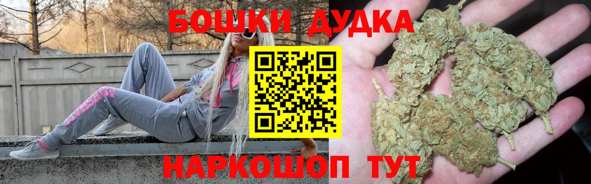 Каннабис планчик Новотроицк